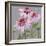 From My Garden - Echinacea-Charlotte Hardy-Framed Giclee Print