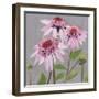 From My Garden - Echinacea-Charlotte Hardy-Framed Giclee Print