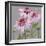 From My Garden - Echinacea-Charlotte Hardy-Framed Giclee Print