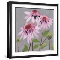 From My Garden - Echinacea-Charlotte Hardy-Framed Giclee Print