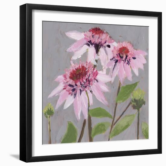 From My Garden - Echinacea-Charlotte Hardy-Framed Giclee Print