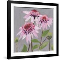 From My Garden - Echinacea-Charlotte Hardy-Framed Giclee Print