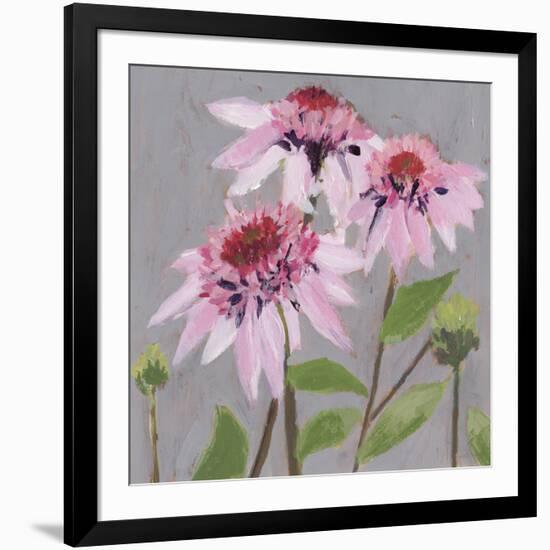 From My Garden - Echinacea-Charlotte Hardy-Framed Giclee Print