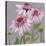 From My Garden - Echinacea-Charlotte Hardy-Stretched Canvas