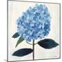 From My Garden - Hydrangea-Charlotte Hardy-Mounted Giclee Print