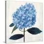 From My Garden - Hydrangea-Charlotte Hardy-Stretched Canvas