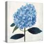 From My Garden - Hydrangea-Charlotte Hardy-Stretched Canvas