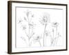 From My Garden I-Sandra Jacobs-Framed Art Print