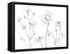 From My Garden I-Sandra Jacobs-Framed Stretched Canvas