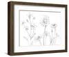 From My Garden I-Sandra Jacobs-Framed Art Print