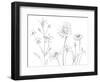 From My Garden I-Sandra Jacobs-Framed Art Print