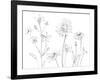 From My Garden I-Sandra Jacobs-Framed Art Print