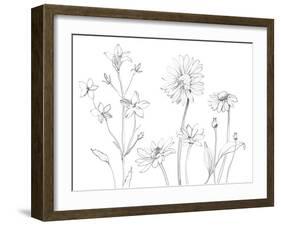 From My Garden I-Sandra Jacobs-Framed Art Print