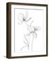 From My Garden II-Sandra Jacobs-Framed Art Print