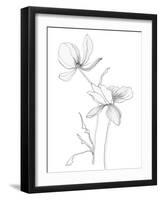 From My Garden II-Sandra Jacobs-Framed Art Print