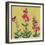 From My Garden - Penstermon-Charlotte Hardy-Framed Giclee Print