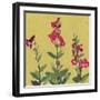 From My Garden - Penstermon-Charlotte Hardy-Framed Giclee Print