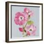 From My Garden - Rose-Charlotte Hardy-Framed Giclee Print