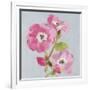 From My Garden - Rose-Charlotte Hardy-Framed Giclee Print