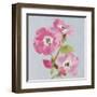 From My Garden - Rose-Charlotte Hardy-Framed Giclee Print