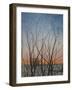 From my Window, 2011-Ann Brain-Framed Giclee Print