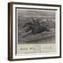 From Post to Finish, a Racing Romance-John Charlton-Framed Giclee Print