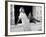 From Russia with Love, Daniela Bianchi, 1963-null-Framed Photo