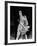 From Russia with Love, from Top: Martine Beswick, Aliza Gur, 1963-null-Framed Photo