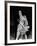 From Russia with Love, from Top: Martine Beswick, Aliza Gur, 1963-null-Framed Photo