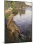 From Sandham-Anders Leonard Zorn-Mounted Giclee Print