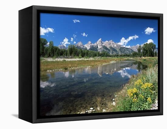 from Schwabacher's Landing Across the Snake River to the Teton Range, Grand Teton National Park-Ruth Tomlinson-Framed Stretched Canvas