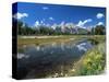 from Schwabacher's Landing Across the Snake River to the Teton Range, Grand Teton National Park-Ruth Tomlinson-Stretched Canvas