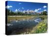 from Schwabacher's Landing Across the Snake River to the Teton Range, Grand Teton National Park-Ruth Tomlinson-Stretched Canvas