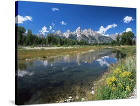 from Schwabacher's Landing Across the Snake River to the Teton Range, Grand Teton National Park-Ruth Tomlinson-Stretched Canvas