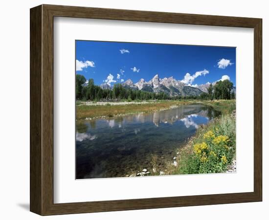 from Schwabacher's Landing Across the Snake River to the Teton Range, Grand Teton National Park-Ruth Tomlinson-Framed Photographic Print