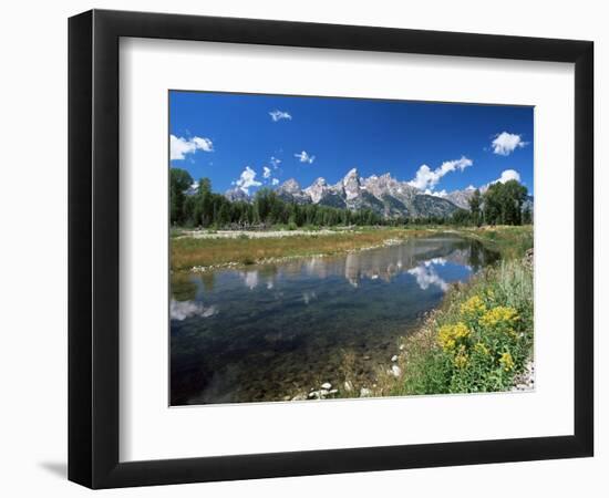 from Schwabacher's Landing Across the Snake River to the Teton Range, Grand Teton National Park-Ruth Tomlinson-Framed Photographic Print