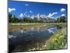 from Schwabacher's Landing Across the Snake River to the Teton Range, Grand Teton National Park-Ruth Tomlinson-Mounted Photographic Print