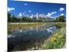 from Schwabacher's Landing Across the Snake River to the Teton Range, Grand Teton National Park-Ruth Tomlinson-Mounted Photographic Print