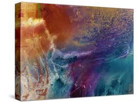 From Sea to Shining Sea-Aleta Pippin-Stretched Canvas