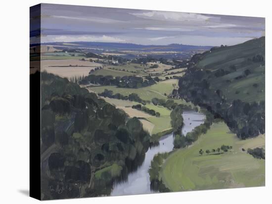 From Symonds Yat Rock, July-Tom Hughes-Stretched Canvas