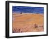 From the Beach:Santa Monica, 2003-Peter Wilson-Framed Giclee Print