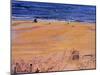 From the Beach:Santa Monica, 2003-Peter Wilson-Mounted Giclee Print