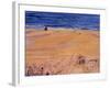 From the Beach:Santa Monica, 2003-Peter Wilson-Framed Giclee Print