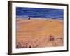 From the Beach:Santa Monica, 2003-Peter Wilson-Framed Giclee Print