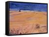 From the Beach:Santa Monica, 2003-Peter Wilson-Framed Stretched Canvas