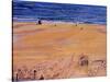 From the Beach:Santa Monica, 2003-Peter Wilson-Stretched Canvas