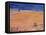 From the Beach:Santa Monica, 2003-Peter Wilson-Framed Stretched Canvas