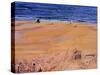 From the Beach:Santa Monica, 2003-Peter Wilson-Stretched Canvas