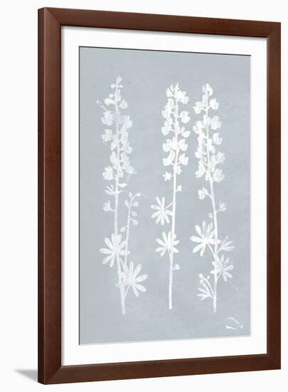 From the Garden II-Max Carter-Framed Giclee Print