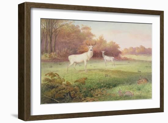 From 'The Knowsley Menagerie', October 24th 1850-Joseph Wolf-Framed Giclee Print